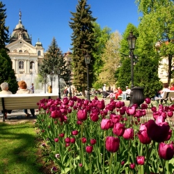 Group offer - ENJOY SLOVAKIA